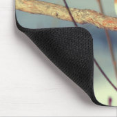 Winter Blauwvogel Wilde Natuur Muismat (Hoek)