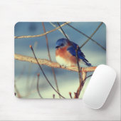 Winter Blauwvogel Wilde Natuur Muismat (Met muis)