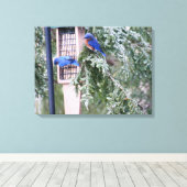 Winter Blauwvogels Canvas Afdruk (Insitu (Houten vloer))