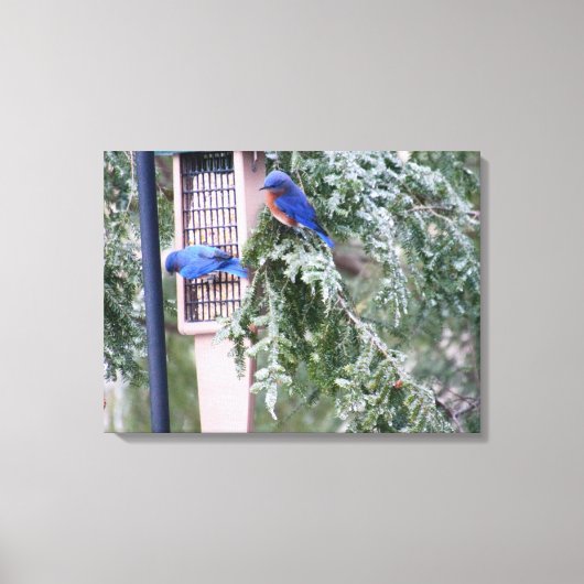 Winter Blauwvogels Canvas Afdruk (Voorkant)