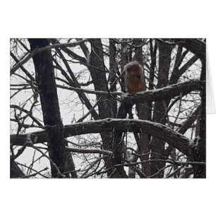 Winter Blessay Seasons WishesCard