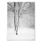 Winter Blizzard Snowy Tree White-Out Abstract Foto Afdruk (Voorkant)