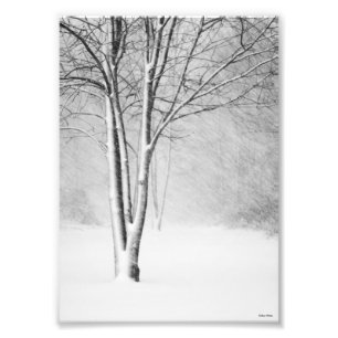Winter Blizzard Snowy Tree White-Out Abstract Foto Afdruk