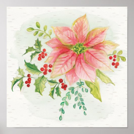 Winter Blooms | Roze Blooming Poinsettia Poster (Voorkant)