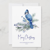 Winter Blue Jay Christmas Feestdagenkaart (Voorkant)