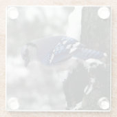 Winter Blue Jay Glazen Onderzetter (Achterkant)
