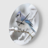 Winter Blue Jay Grote Klok (Hoek)