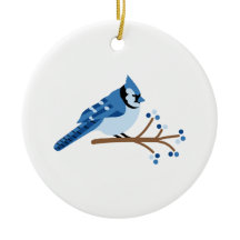 Winter Blue Jay