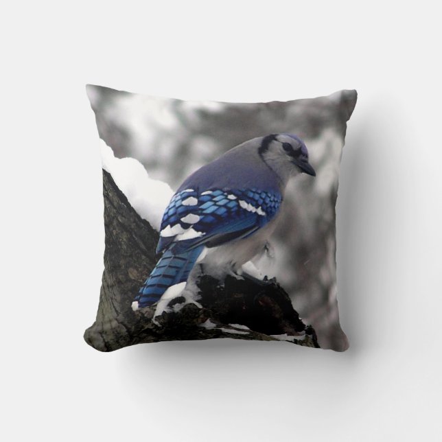 Winter Blue Jay Kussen (Voorkant)