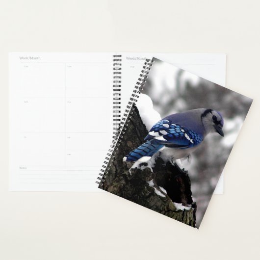Winter Blue Jay Planner (Display)