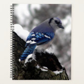 Winter Blue Jay Planner (Voorkant)