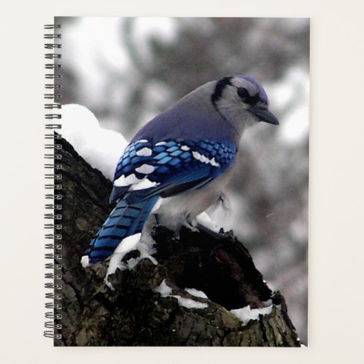 Winter Blue Jay Planner (Voorkant)