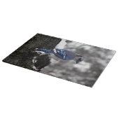 Winter Blue Jay Snijplank (Hoek)