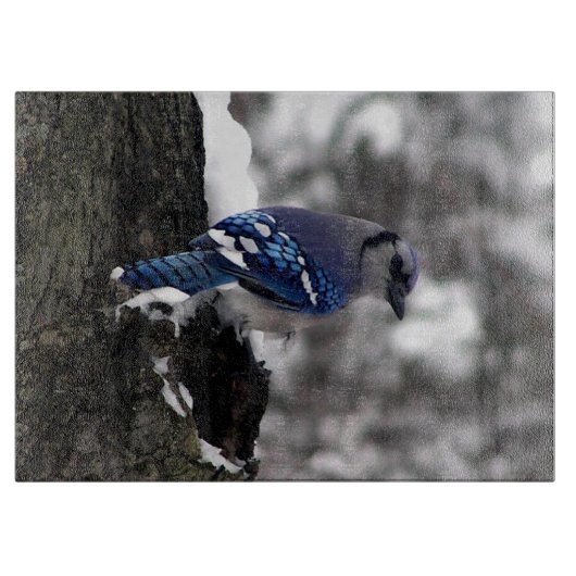 Winter Blue Jay Snijplank (Voorkant)