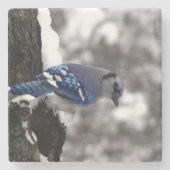 Winter Blue Jay Stenen Onderzetter (Voorkant)