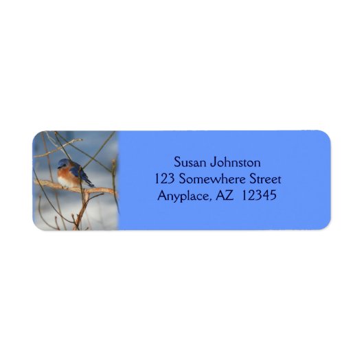 Winter Bluebird Animal Adres Etiket (Voorkant)