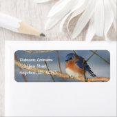 Winter Bluebird Animal Adres Etiket (Insitu)