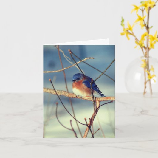 Winter Bluebird Animal Note Kaart (Gele Bloem)
