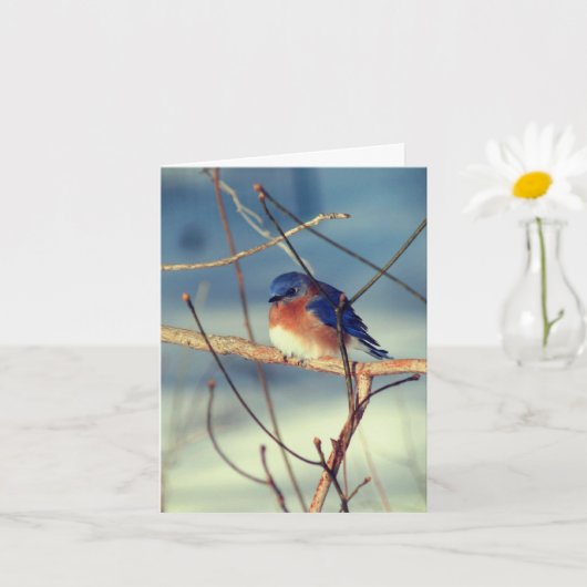 Winter Bluebird Animal Note Kaart (Kleine Plant)