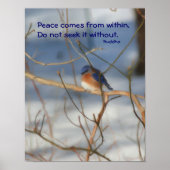 Winter Bluebird Buddha Quote Inspirerend Poster (Voorkant)