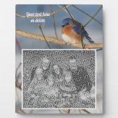 Winter Bluebird Creëer Uw eigen foto Fotoplaat (Voorkant)