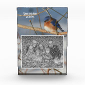 Winter Bluebird Gepersonaliseerde Creëer Uw Eigen Fotoblokken (Voorkant)