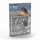 Winter Bluebird Gepersonaliseerde Creëer Uw Eigen Fotoblokken (Links)