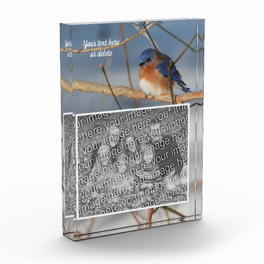 Winter Bluebird Gepersonaliseerde Creëer Uw Eigen Fotoblokken (Links)