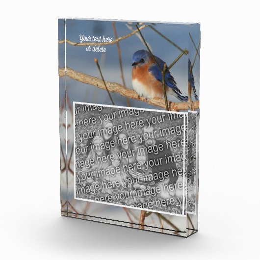 Winter Bluebird Gepersonaliseerde Creëer Uw Eigen Fotoblokken (Rechts)