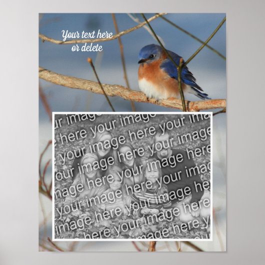 Winter Bluebird gepersonaliseerde Creëer Uw eigen  Poster (Voorkant)