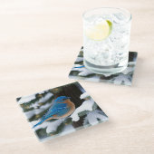 Winter Bluebird Glazen Onderzetter (Schuin)