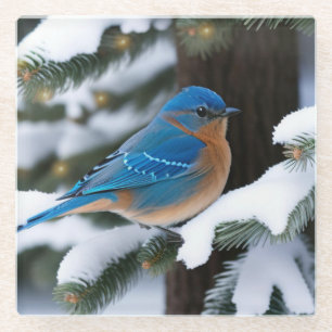 Winter Bluebird Glazen Onderzetter