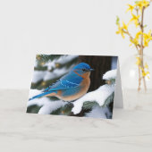 Winter Bluebird Kaart (Gele Bloem)