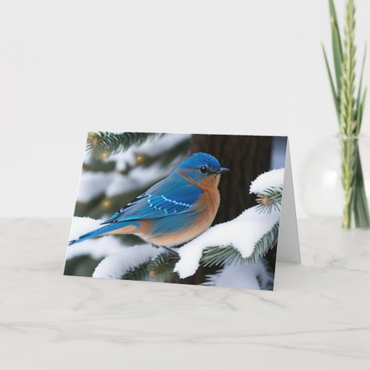Winter Bluebird Kaart (Voorkant)