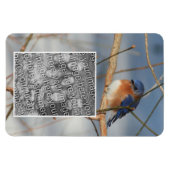 Winter Bluebird Lijst Creëer Uw eigen foto Magneet (Horizontaal)