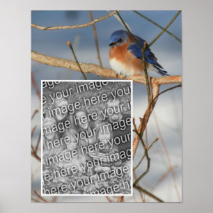 Winter Bluebird Lijst Creëer Uw eigen foto Poster