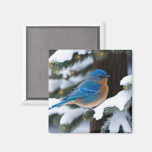 Winter Bluebird Magneet (Voorkant / Achterkant)