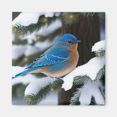 Winter Bluebird Magneet (Voorkant)