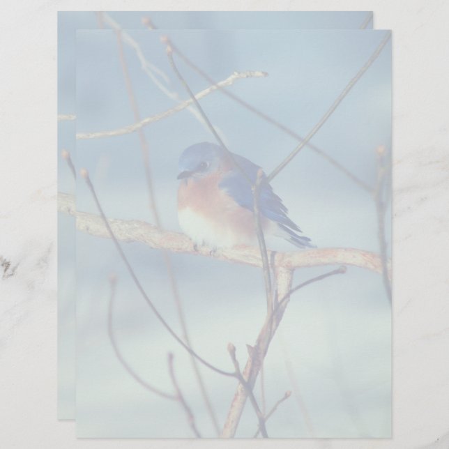 Winter Bluebird Nature Briefhoofd (Voorkant / Achterkant)