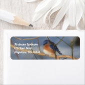 Winter Bluebird Natuur Art Address Etiket (Insitu)