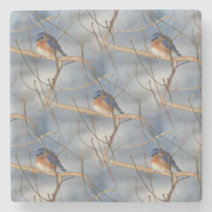 Winter Bluebird Natuur Art Pattern Stenen Onderzetter