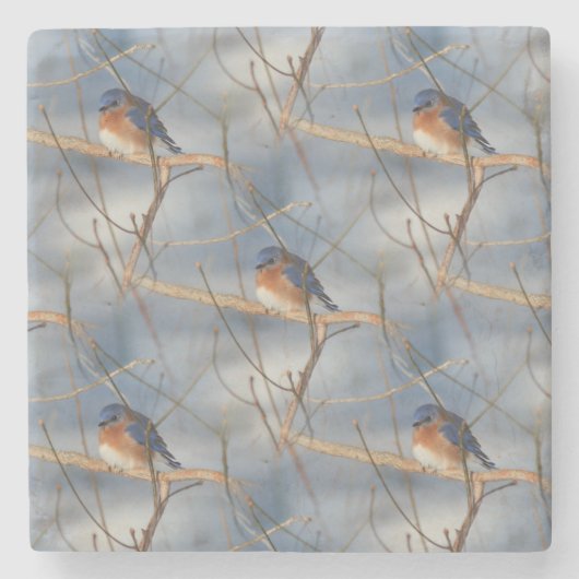 Winter Bluebird Natuur Art Pattern Stenen Onderzetter (Voorkant)
