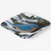 Winter Bluebird Papieren Bordje (Gebogen)