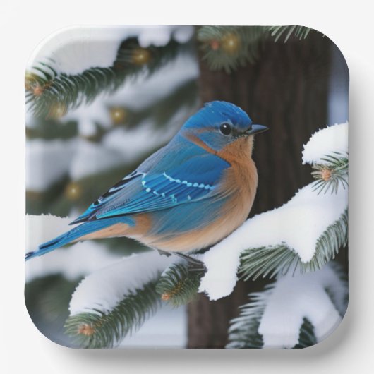 Winter Bluebird Papieren Bordje (Voorkant)