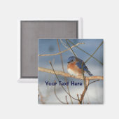 Winter Bluebird Personalized Animal Magneet (Voorkant / Achterkant)
