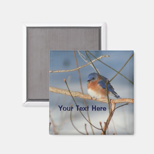 Winter Bluebird Personalized Animal Magneet (Voorkant / Achterkant)