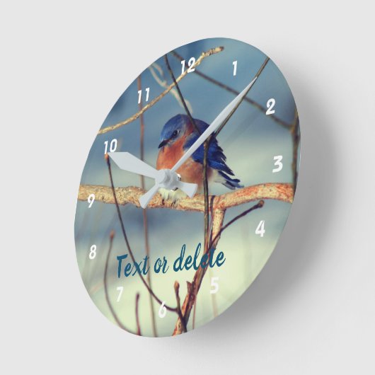 Winter Bluebird Personalized Ronde Klok (Hoek)