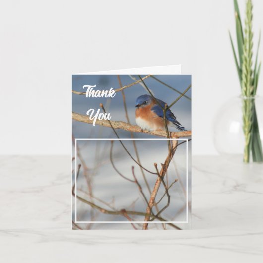 Winter Bluebird trouwfoto Bedankkaart (Voorkant)