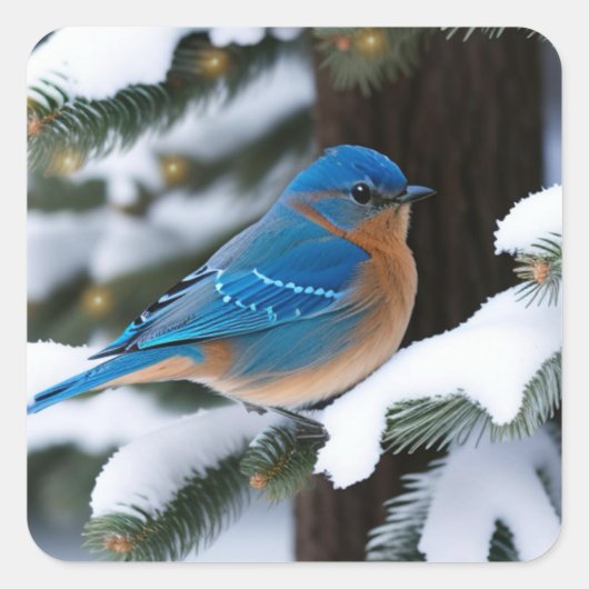 Winter Bluebird Vierkante Sticker (Voorkant)