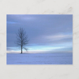 Winter Blues Briefkaart